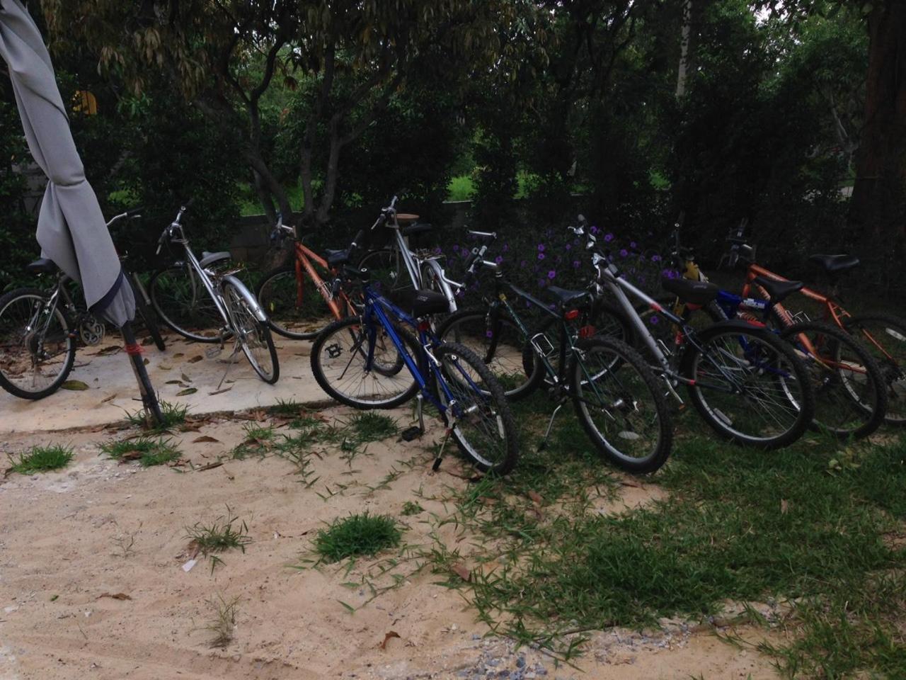 Jardin De Mangue Pakchong Hotel Phòng bức ảnh