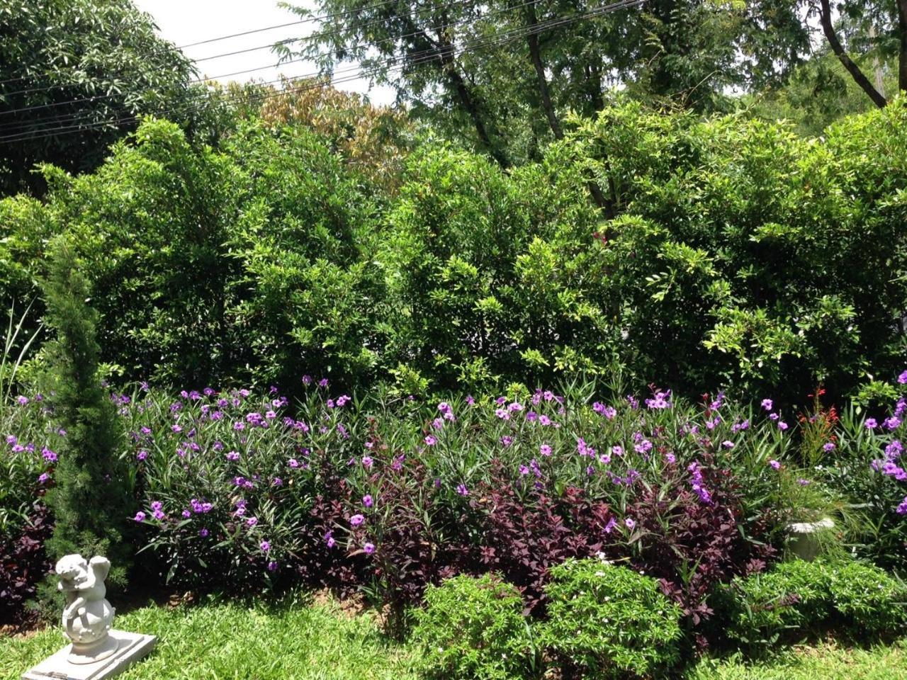 Jardin De Mangue Pakchong Hotel Phòng bức ảnh