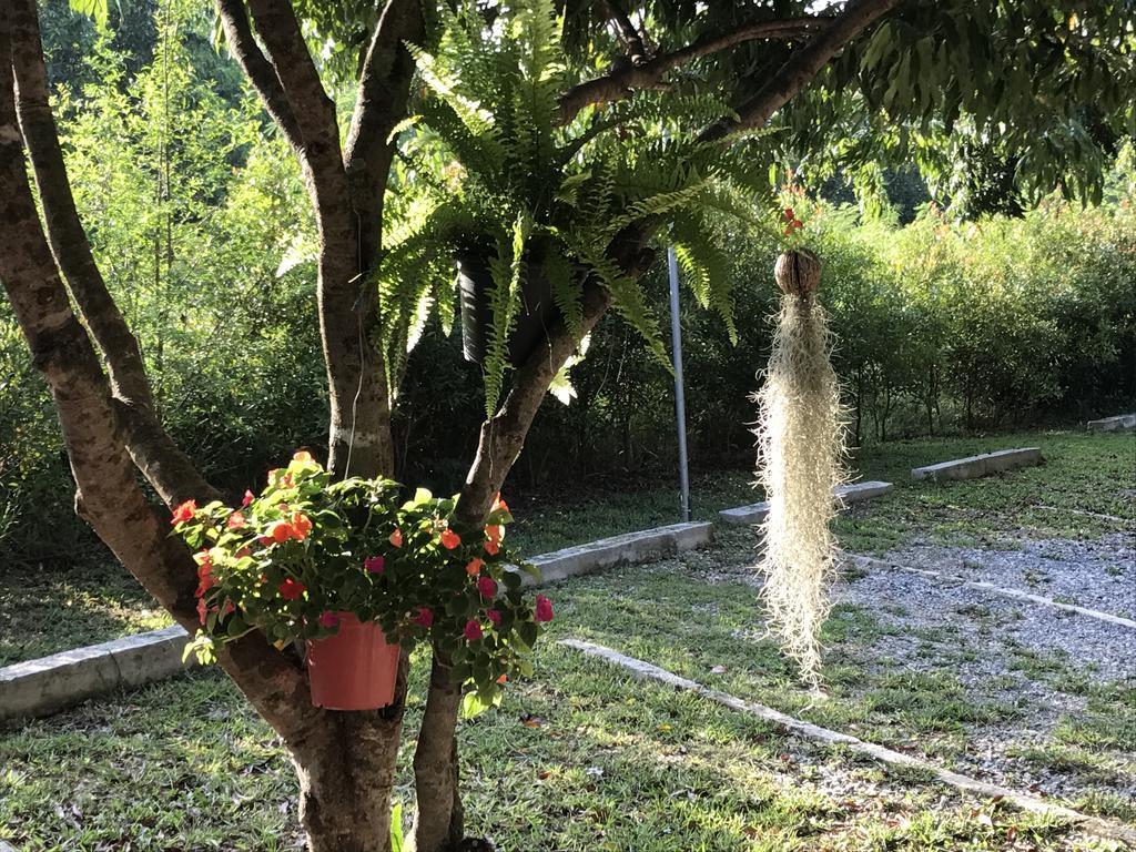 Jardin De Mangue Pakchong Hotel Ngoại thất bức ảnh